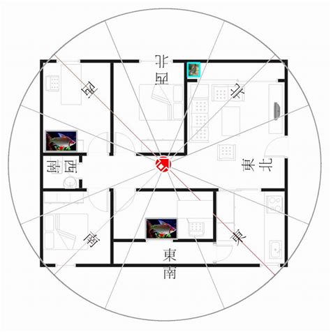 坐東南朝西北的房子好嗎|坐西北朝東南的房子好嗎？6個風水策略助你家庭和事業雙豐收